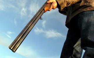 Berger allemand criblé de plombs à Pouligny-Notre-Dame : Appel à témoins lancé