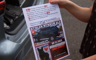 Arnie, le Berger Allemand volé avec la voiture de sa famille