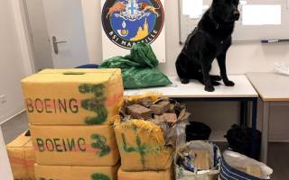 Grâce au flair d’un berger allemand, 356 kg de drogue saisis au péage d’Arles