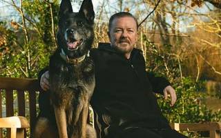 Ricky Gervais reverse près de 2,8 millions d'euros en faveur des animaux 