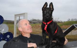 Quand le flair d'un berger allemand sauve une vie en pleine forêt