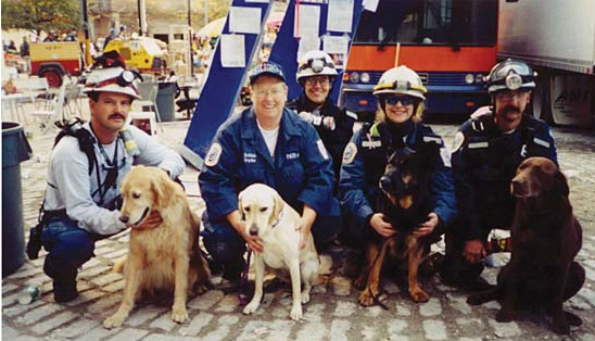 Les chiens héros du 11 septembre 2001