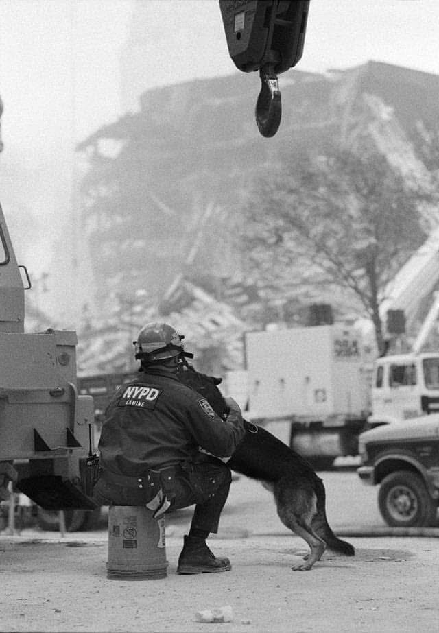 September_11_dog_rescue_NYC.jpg