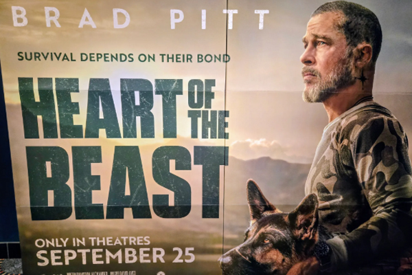 Brad Pitt partage l'affiche avec un Berger Allemand dans Heart of the Beast, un thriller où homme et chien doivent survivre ensemble en Alaska.