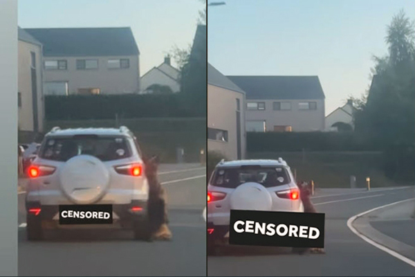 L’affaire Arès classée sans suite : incompréhension et indignation sur les réseaux