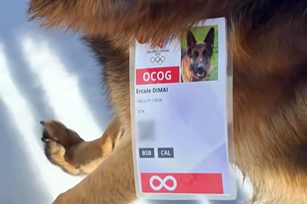 Un berger allemand en mission… aux Jeux Olympiques d’hiver