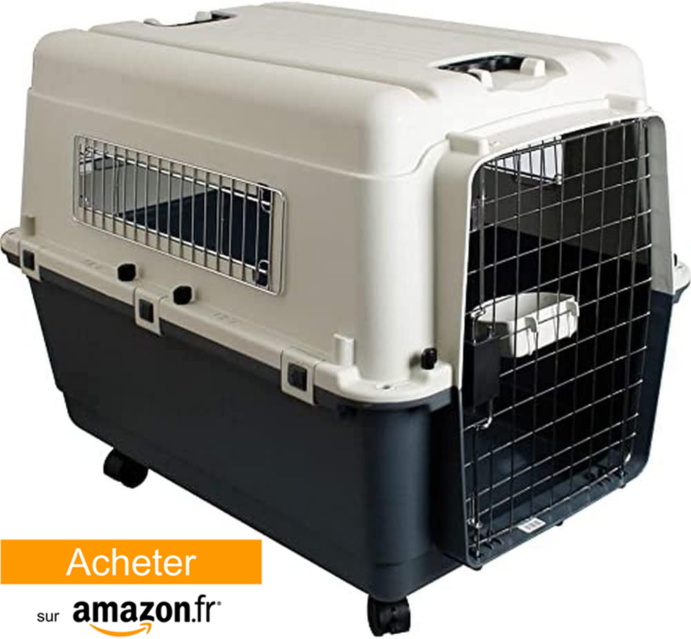 cage transport voiture berger allemand
