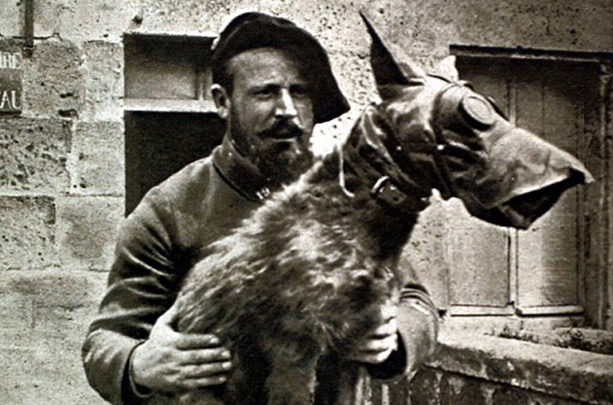 Hommage aux chiens de guerre 1914-1918