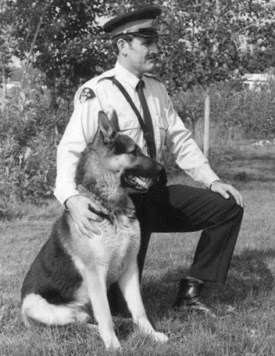 Un ultime hommage rendu à Cloud II, le chien policier héros de l'Ontario, 51 ans après son sacrifice.