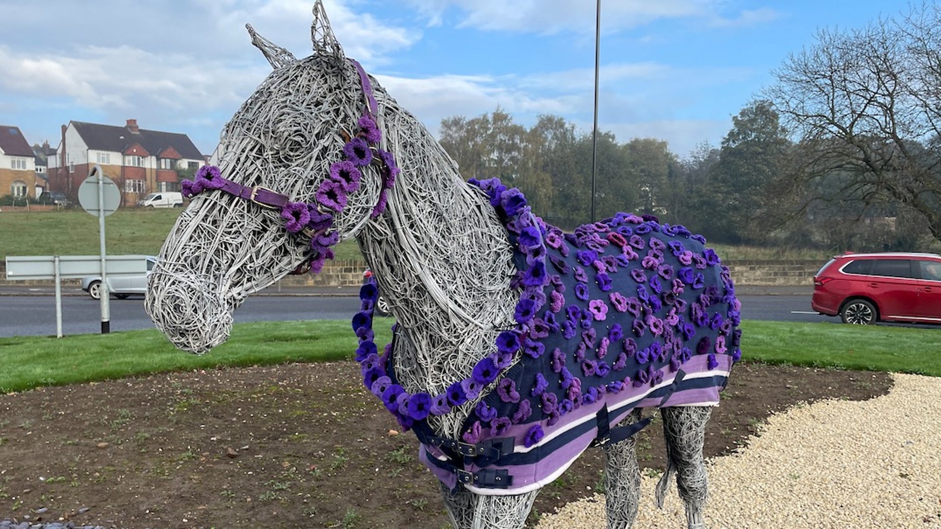 coquelicot violet 02