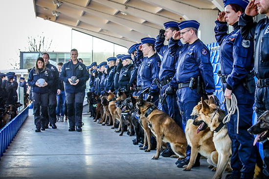 Haie d'honneur pour rendre hommage à deux chiens policiers