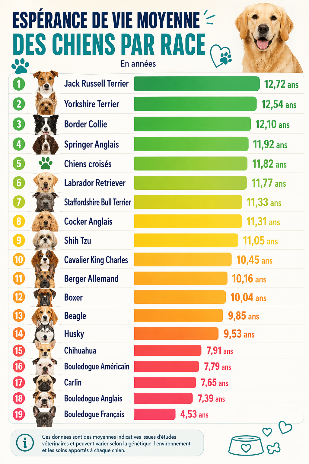 Classement des races selon leur espérance de vie