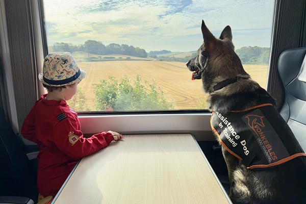 L’amitié extraordinaire entre un garçon autiste et son chien Frank