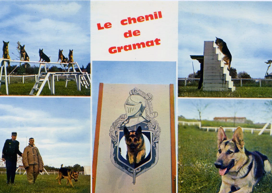 Le chenil de Gramat : une page d’histoire de la gendarmerie