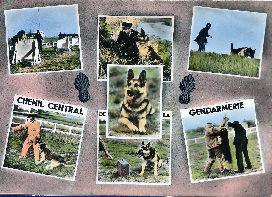 Le chenil de Gramat : une page d’histoire de la gendarmerie