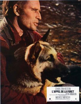 1972 l appel de la foret