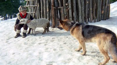 1972 le loup solitaire