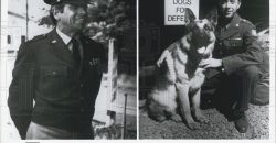 1990 chips the war dog