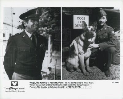1990 chips the war dog
