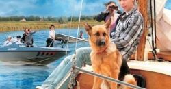 2010 truffe et les voleurs