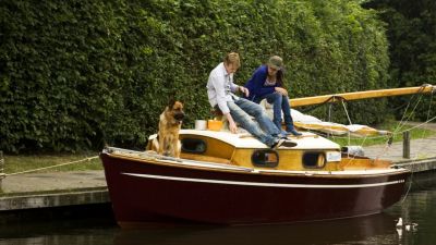 2010 truffe et les voleurs