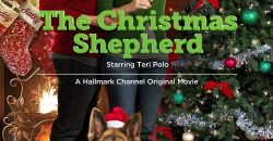 2014 une bonne etoile pour noel film