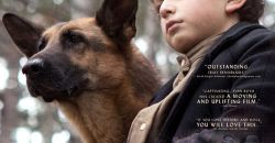 2019 shepherd the hero dog