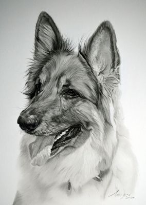 artwork berger allemand