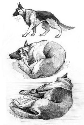 artwork berger allemand