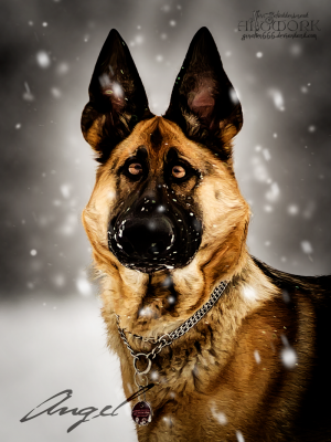 artwork berger allemanda