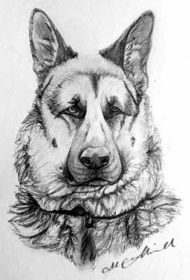 artwork berger allemanda