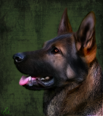 artwork berger allemanda