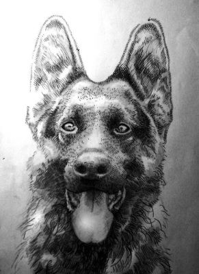 artwork berger allemand