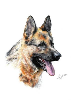 artwork berger allemand