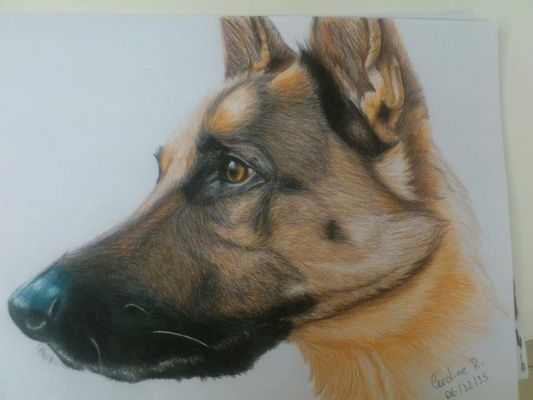 artwork berger allemand