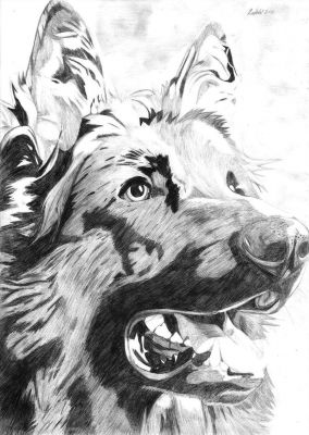 artwork berger allemand