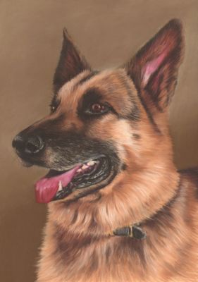 artwork berger allemand