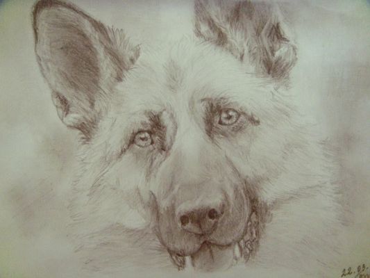 artwork berger allemand