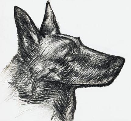 artwork berger allemand