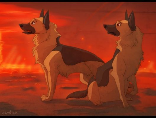 artwork berger allemand