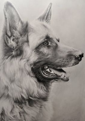 artwork berger allemand