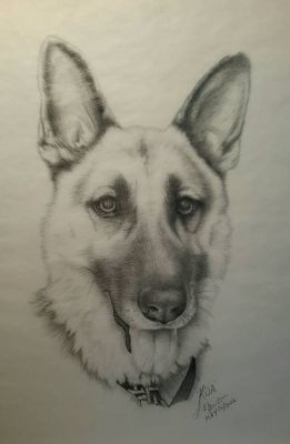 artwork berger allemand