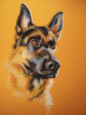 artwork berger allemand