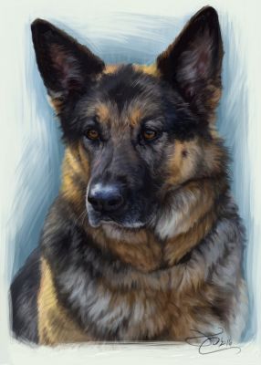 artwork berger allemand