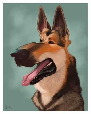 artwork berger allemand