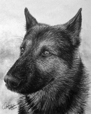 artwork berger allemand