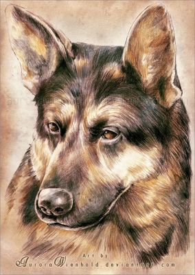 artwork berger allemand