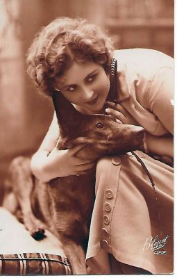 carte postale berger allemand