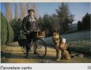 carte postale berger allemand
