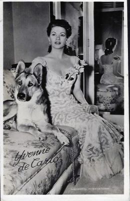 carte postale berger allemand